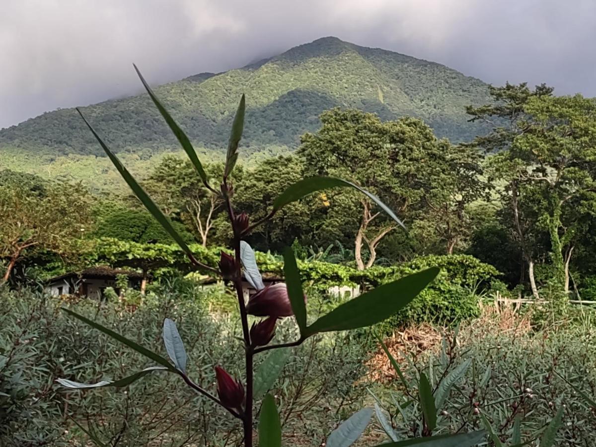 Finca Mystica Mérida Екстериор снимка