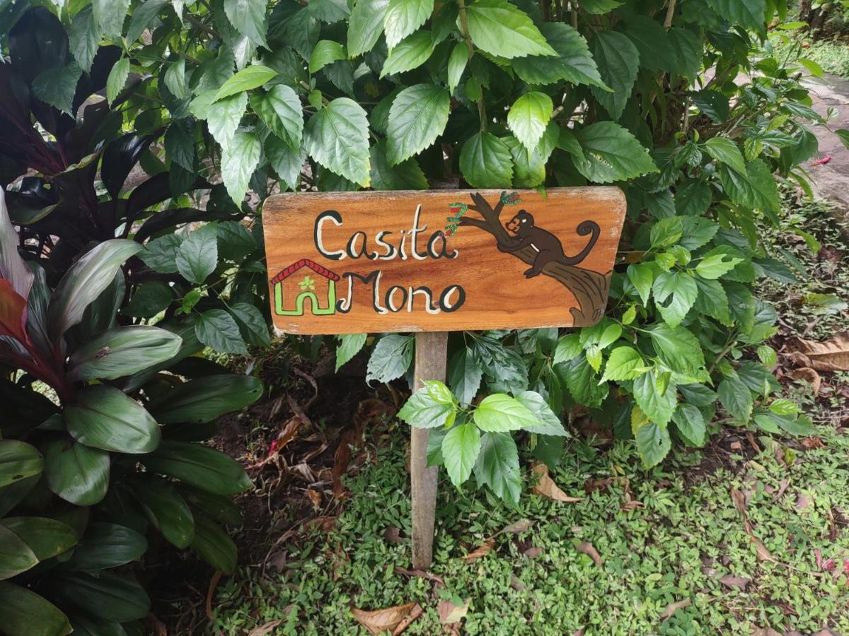 Finca Mystica Mérida Екстериор снимка