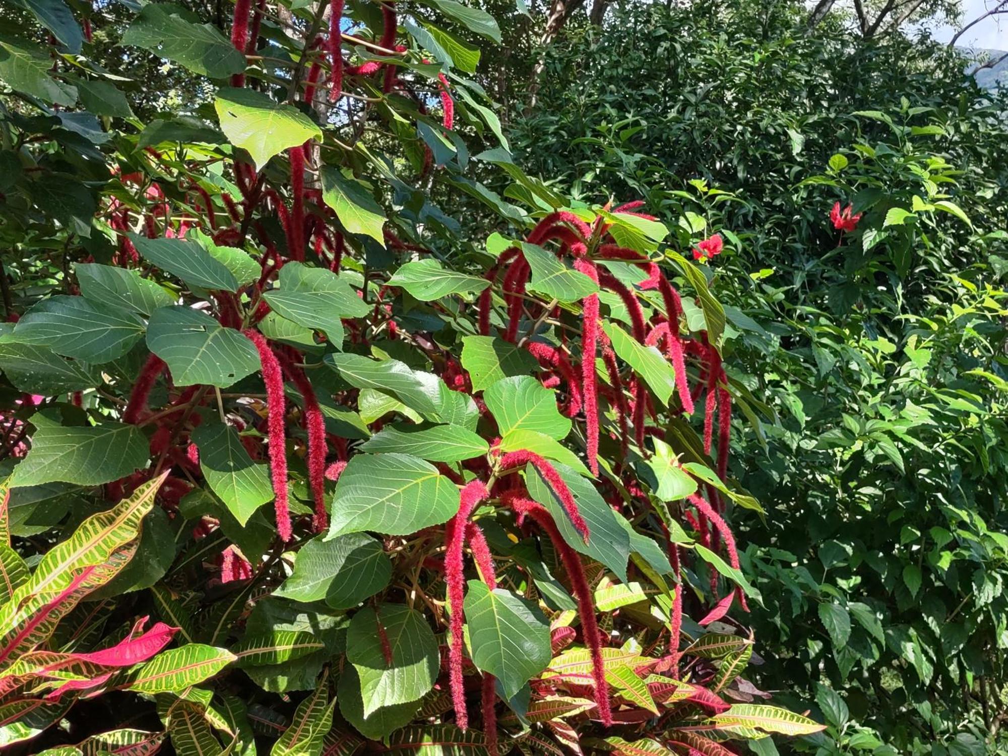 Finca Mystica Mérida Екстериор снимка