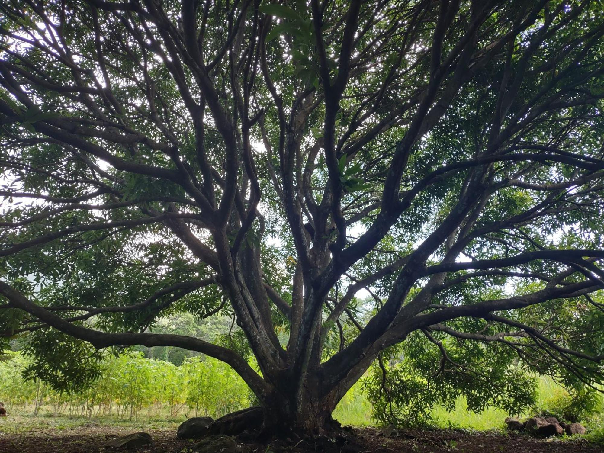 Finca Mystica Mérida Екстериор снимка