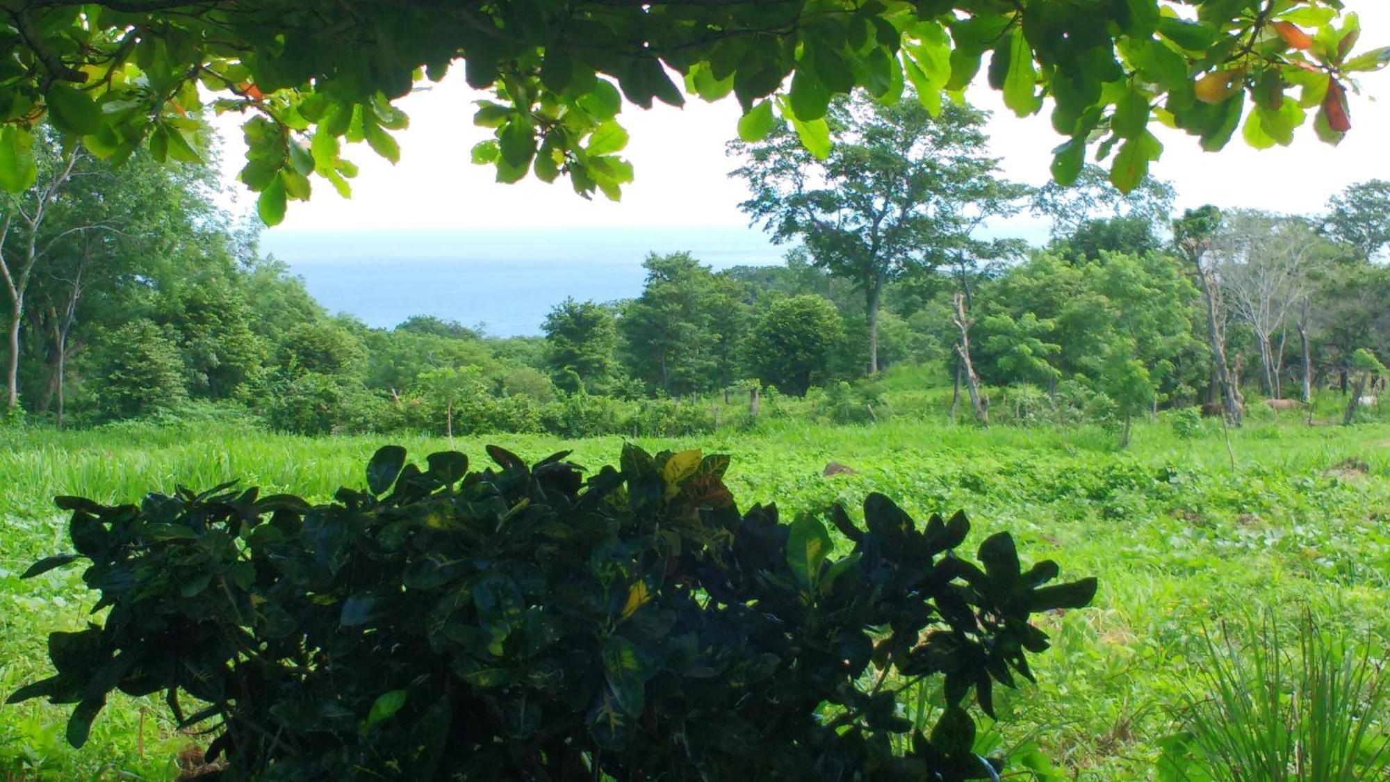 Finca Mystica Mérida Стая снимка