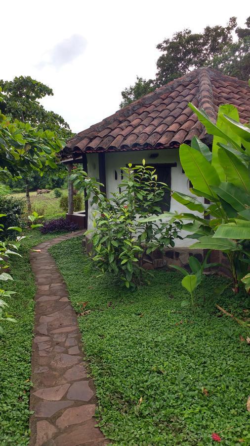 Finca Mystica Mérida Екстериор снимка