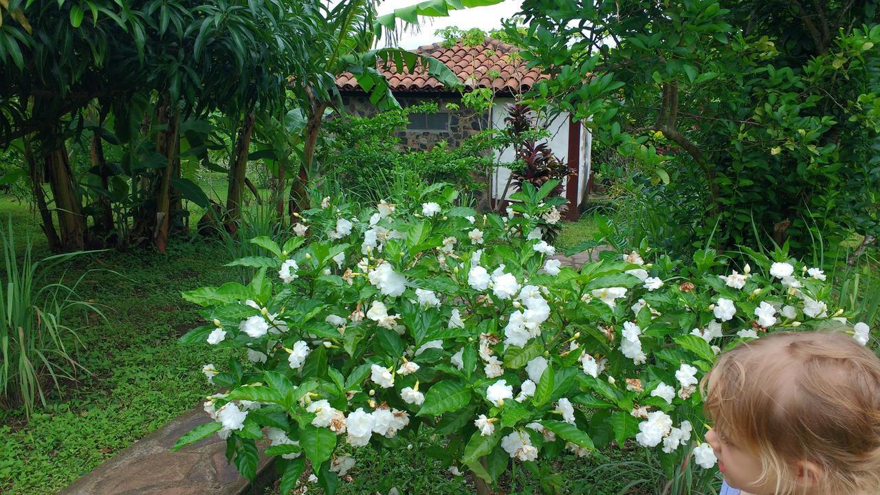 Finca Mystica Mérida Екстериор снимка