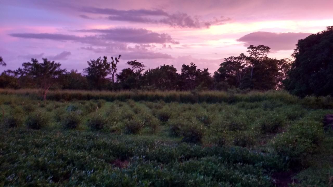 Finca Mystica Mérida Екстериор снимка